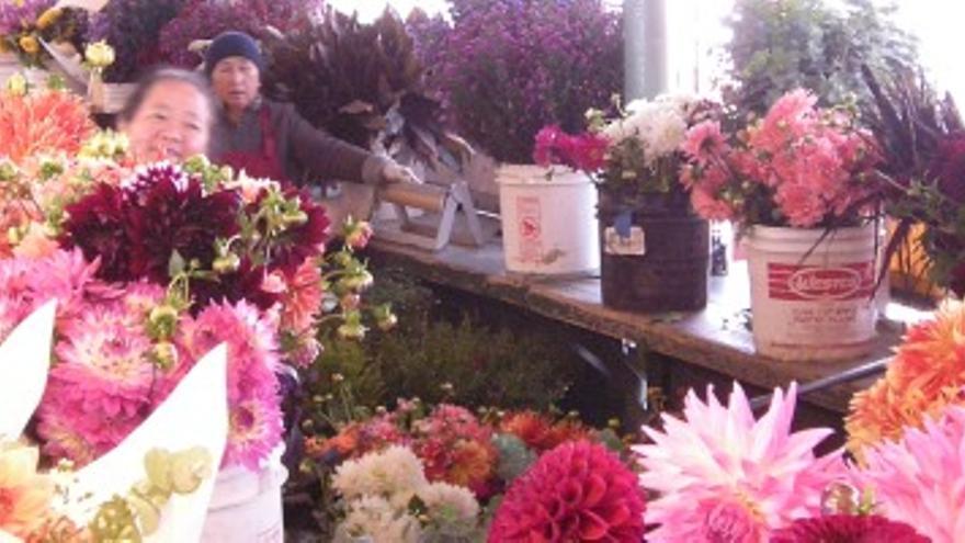 Mercado Flores
