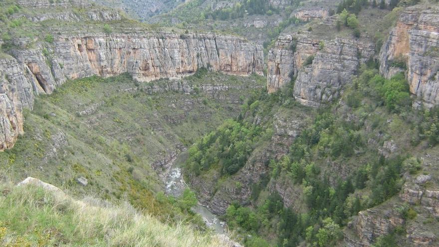 cañón del río leza