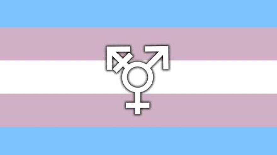 bandera transexual