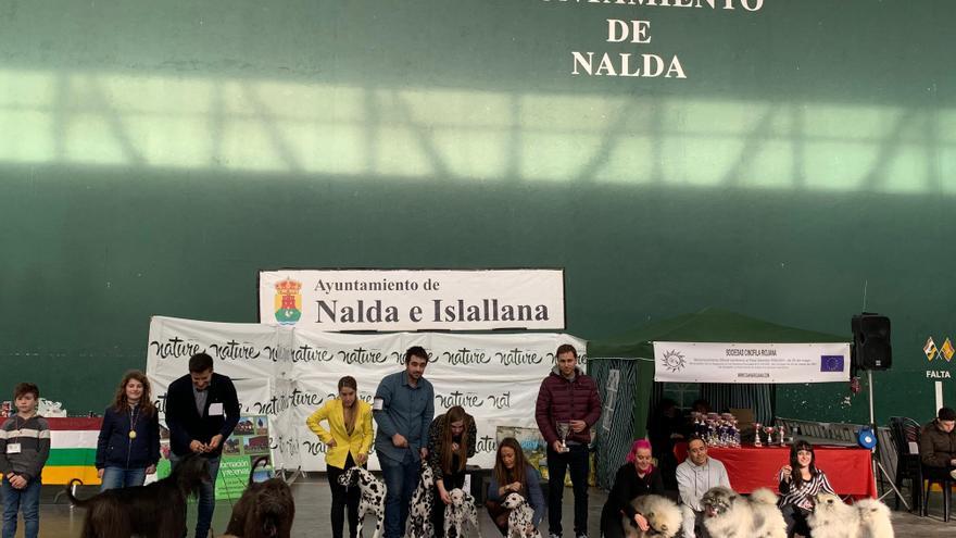 Concurso de Belleza Canina Nalda