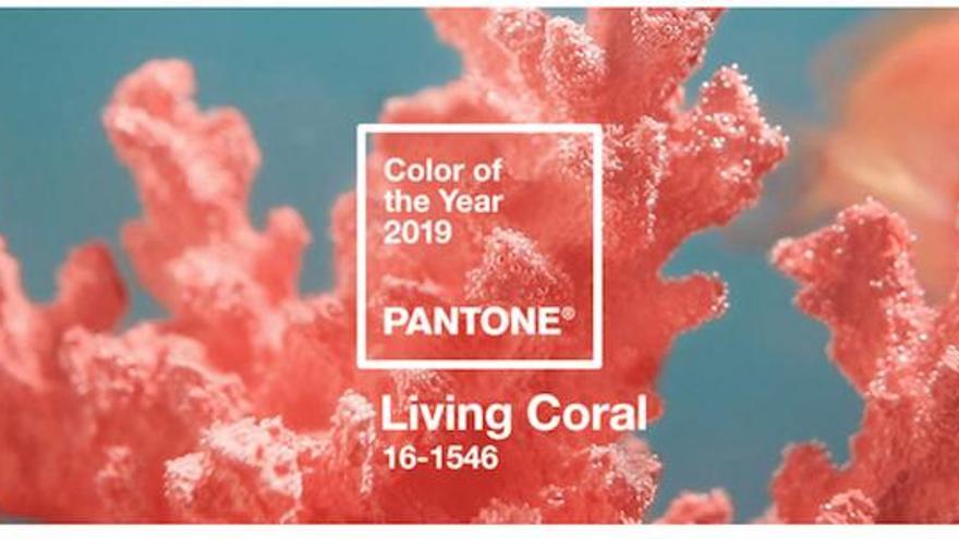 pantone color coral