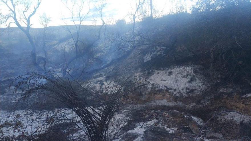 incendio forestal en Alcanadre
