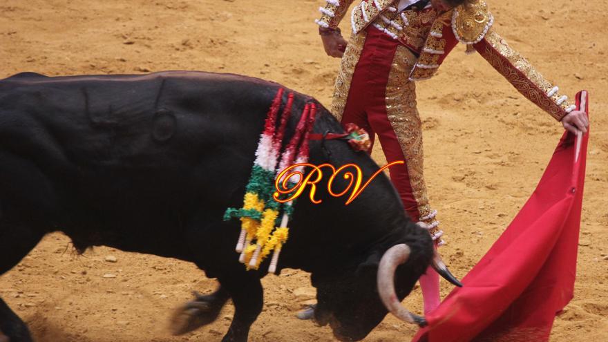 torero, toro, La Ribera, Leal