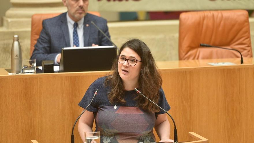 Raquel Romero, Podemos, Parlamento de La Rioja, Participación