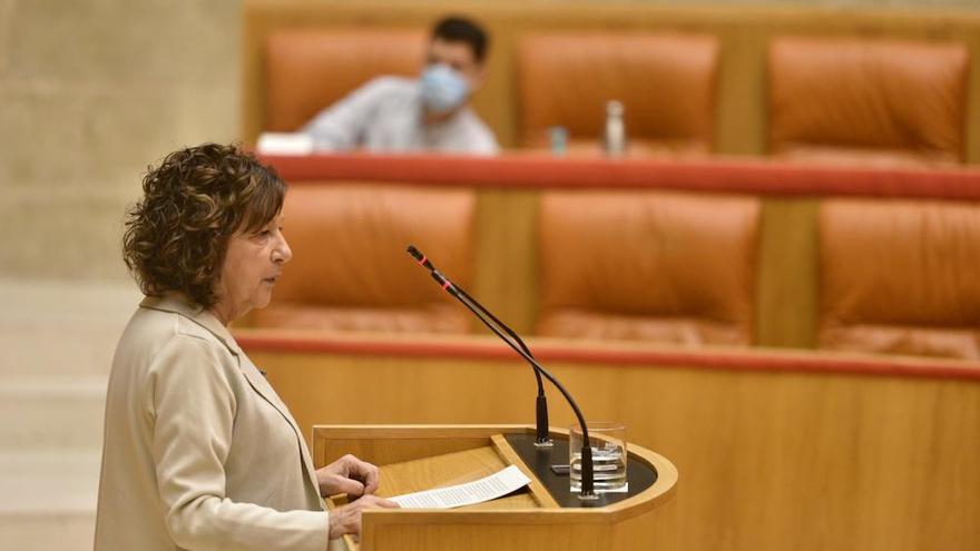 Comparecencia de Ana Santos en el Parlamento