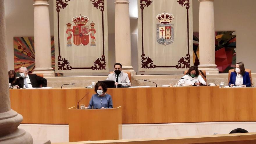 ana santos pide una ley de violencia de género en el parlamento