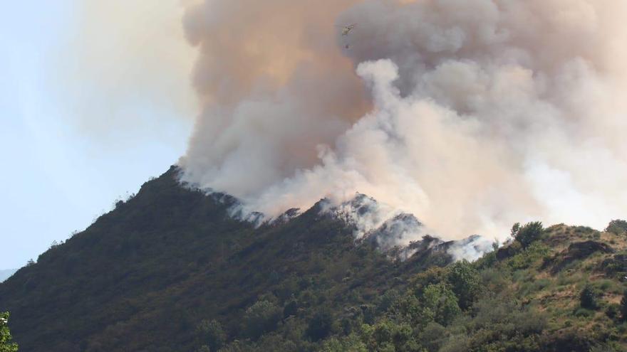 San Lorenzo, fuego, incendio forestal