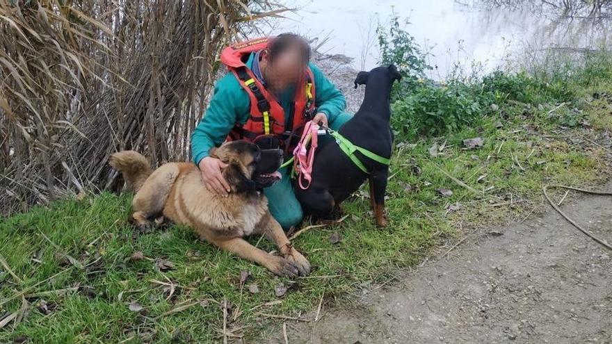 rescate de dos perros en Alfaro